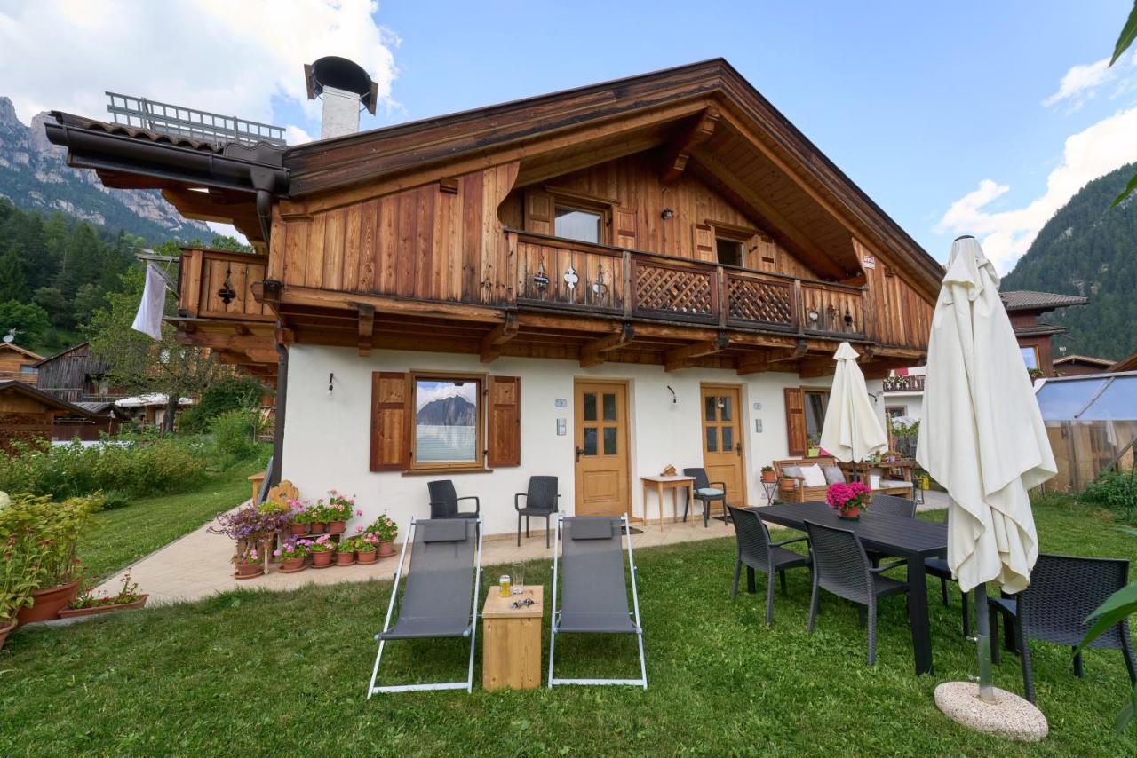 Paragole - Ferienwohnung