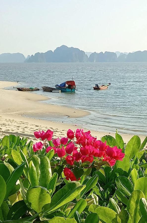 Coco Hoang Homestay- Green bay garden - B&B