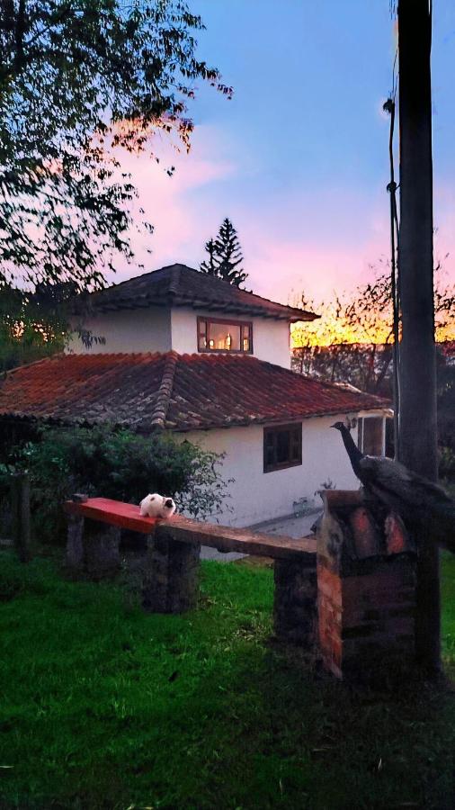 Cabaña Buenavista 3 habitaciones - B&B