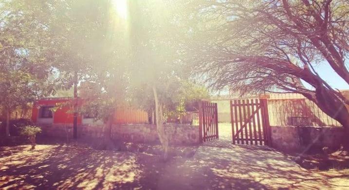 La Casita del Pastor Cafayate - B&B