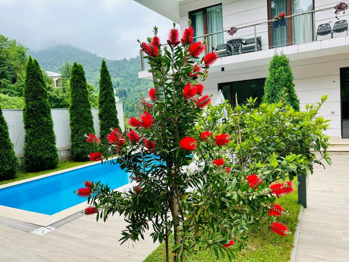 Holiday villa in Mountains - B&B Ch’aisubani