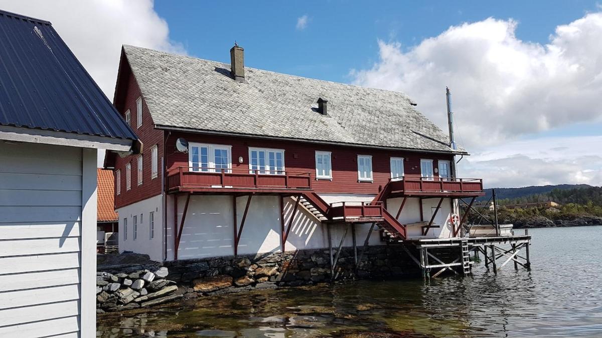 Charming sea house with sauna and private jetty - Bed and Breakfast Ølve