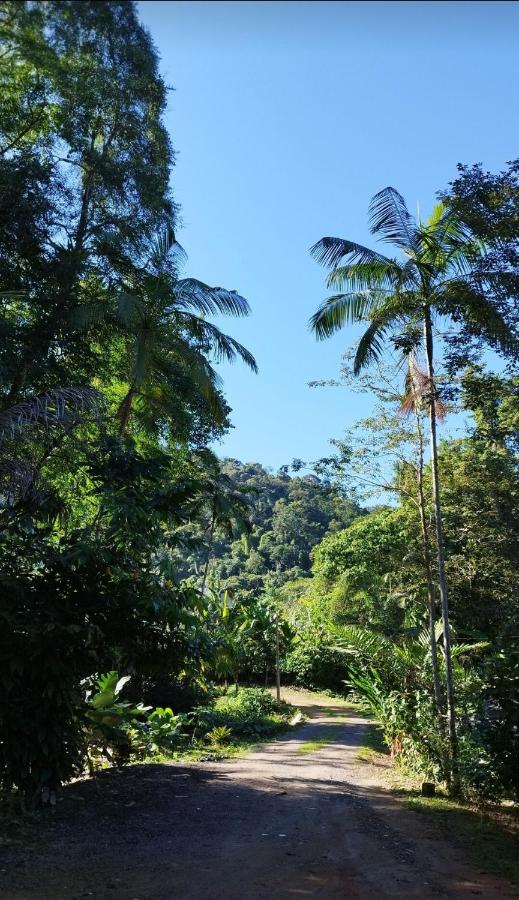 casa da mata - B&B Ubatuba