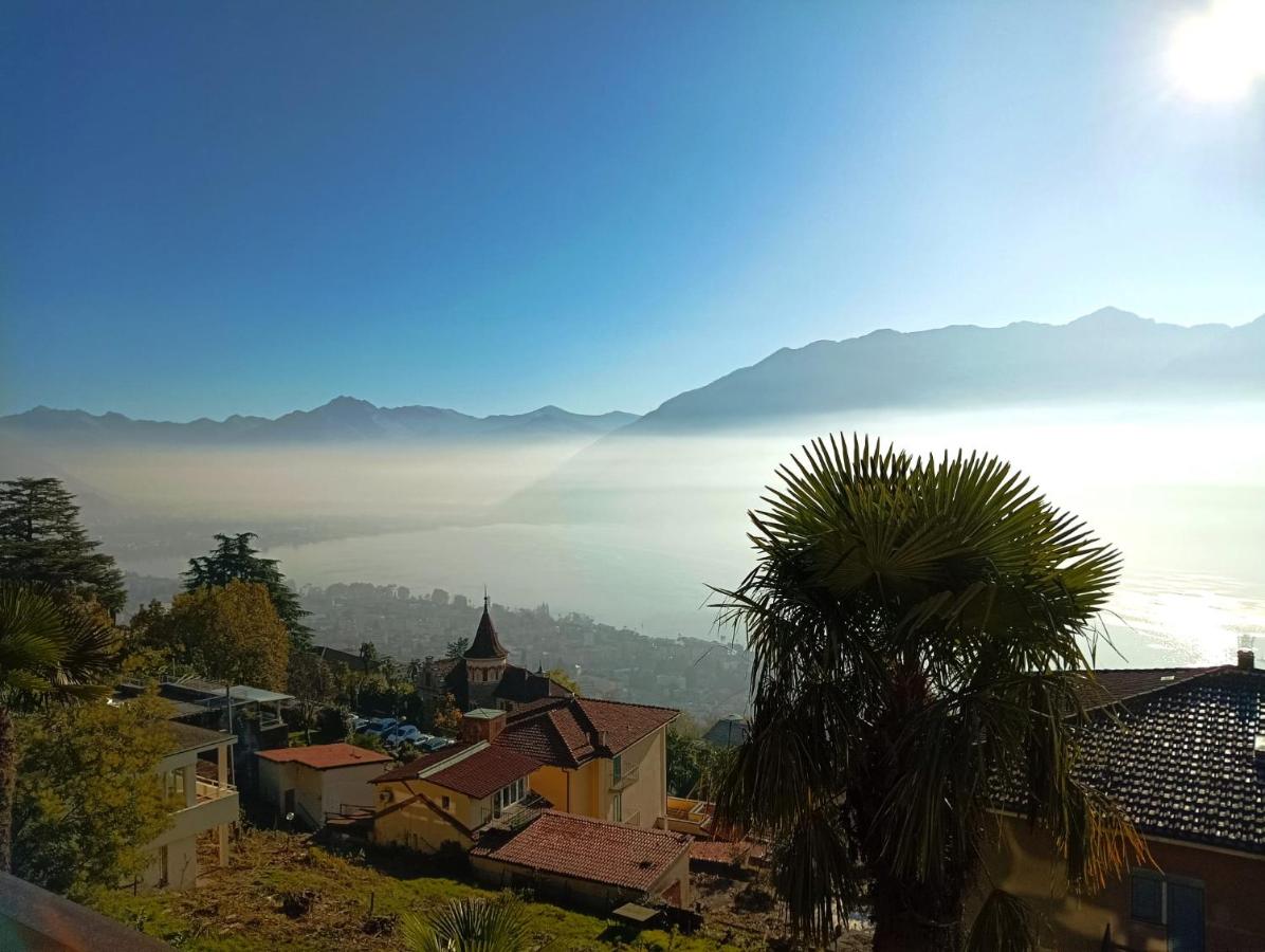 Ferienwohnung C10 - B&B Orselina