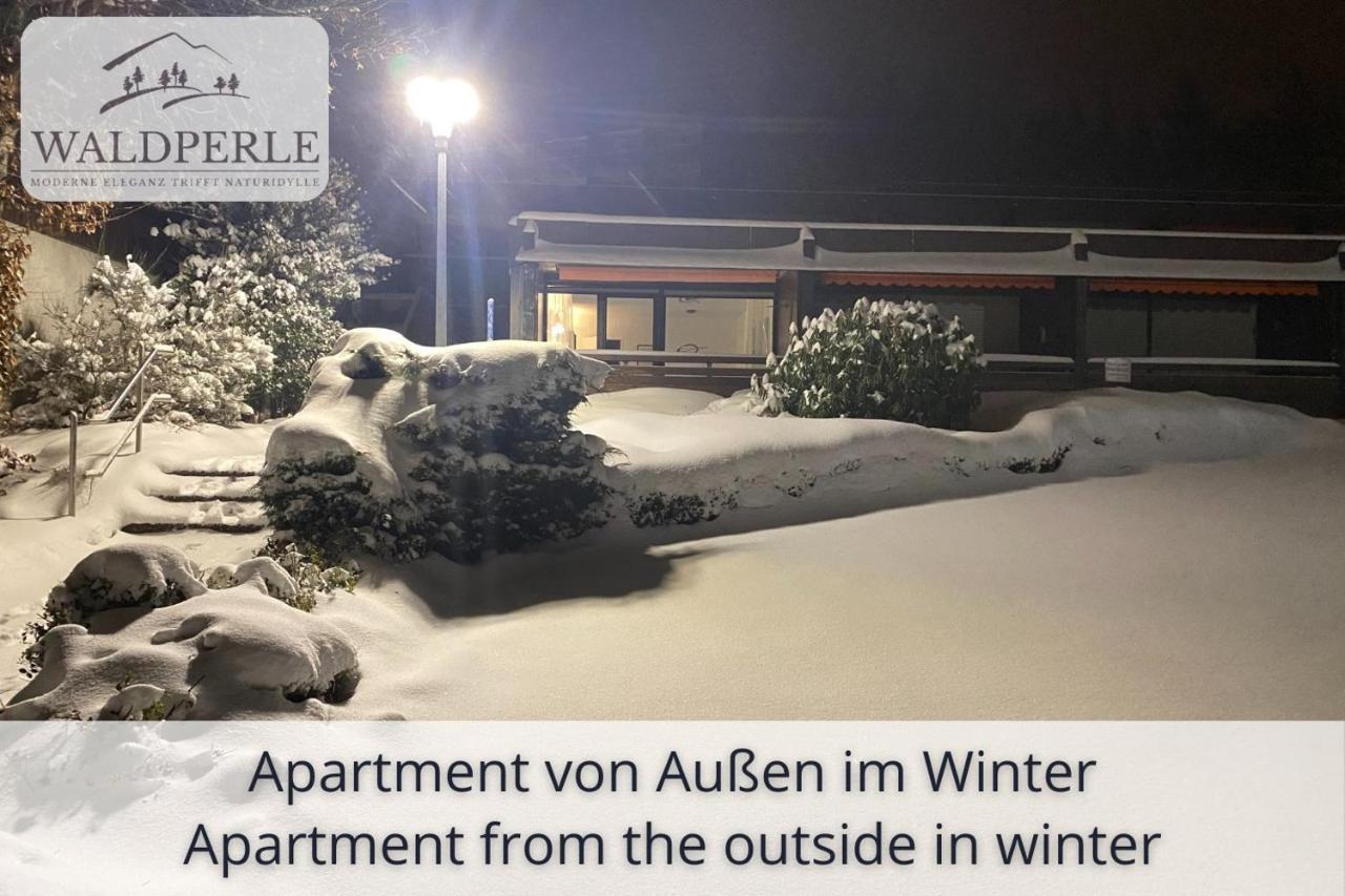 Exklusives 5-Sterne Apartment Waldperle mit Indoor-Pool, Sauna, top Lage und Ausblick in die Natur, Hunde willkommen - B&B Schonach