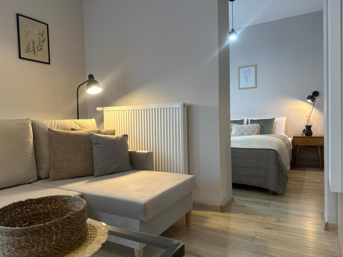 Appartamento con 1 Camera da Letto e Terrazza