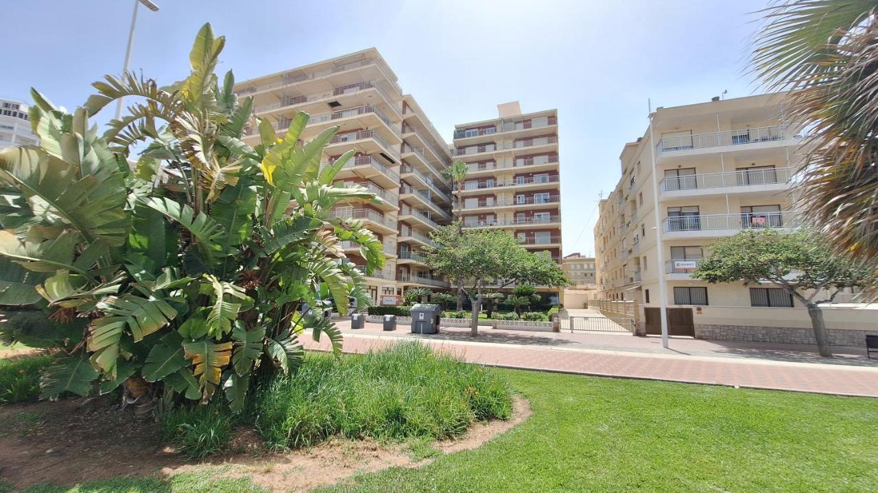 GANDIA Primera Linea CARACOLA Beach View - Chambres d’hôtes