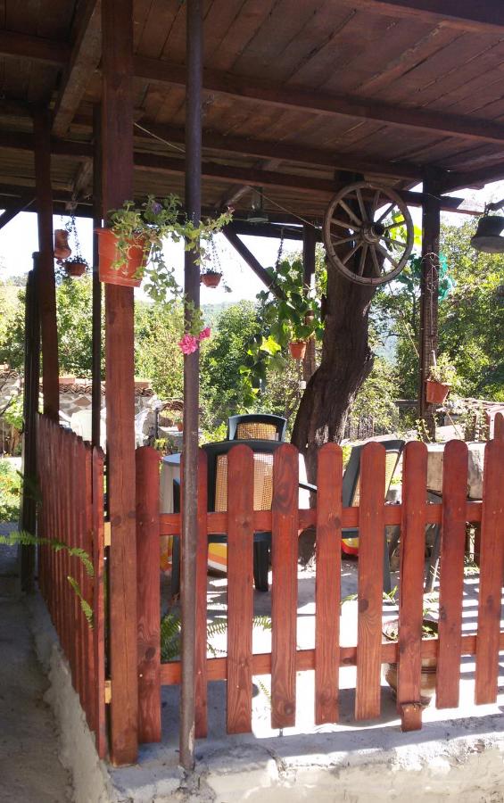 Guest House Selin - B&B