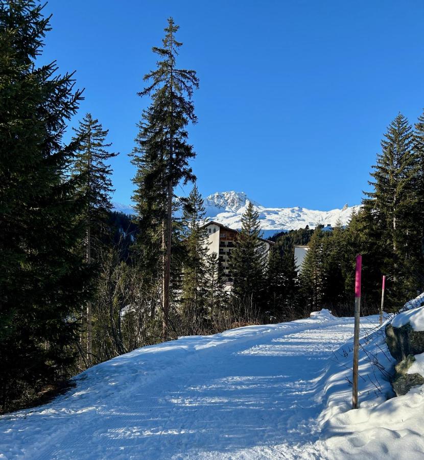 Sauna, Pool, Gym, Skishuttle inkl plus Ski-in - Bed and Breakfast Arosa