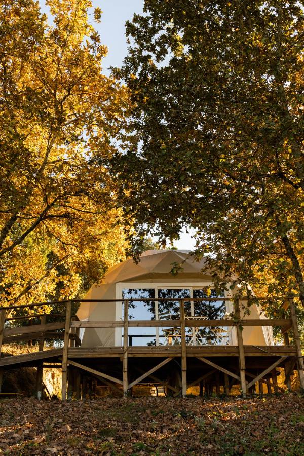 Manteiros Glamping - B&B Canas de Senhorim