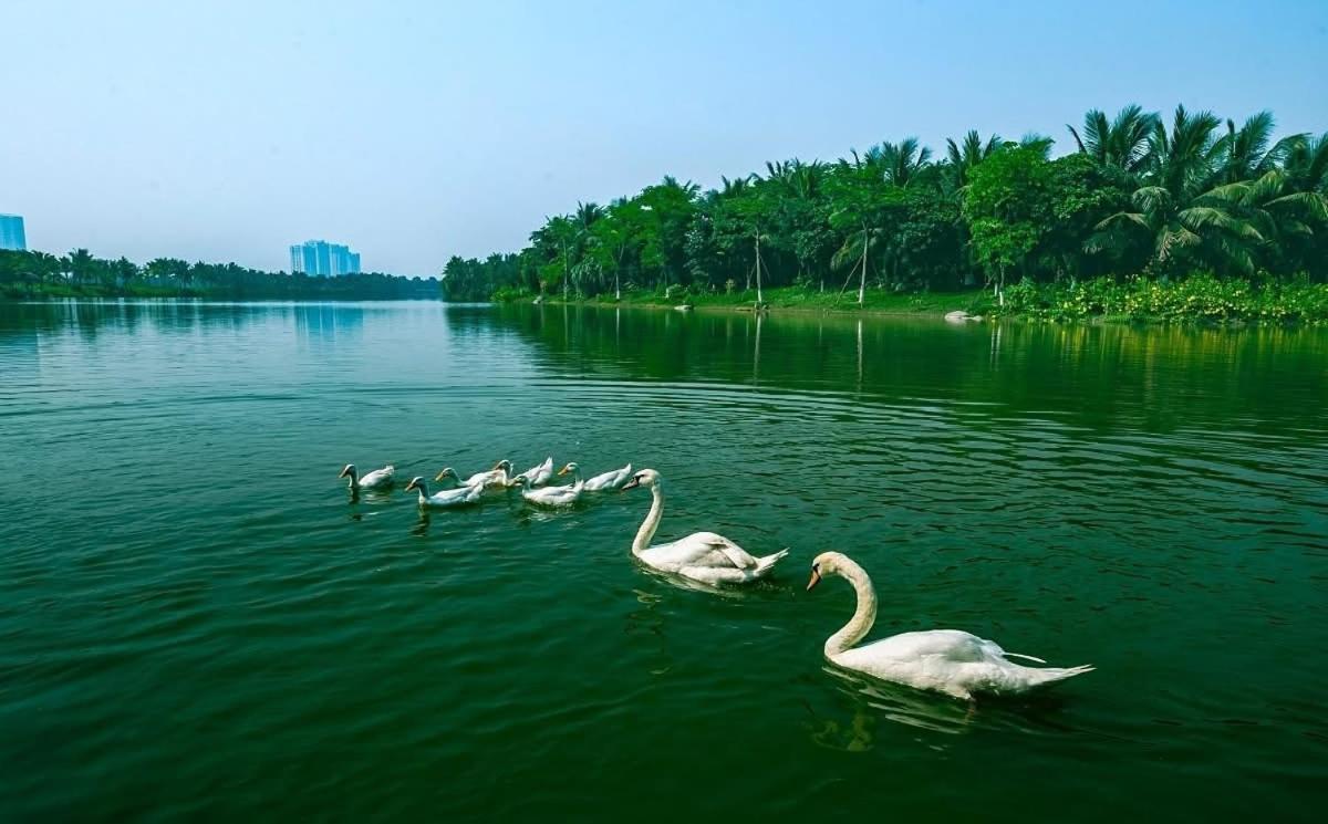 Đã đóng cửa - Chambres d'hôtes Cong Luận