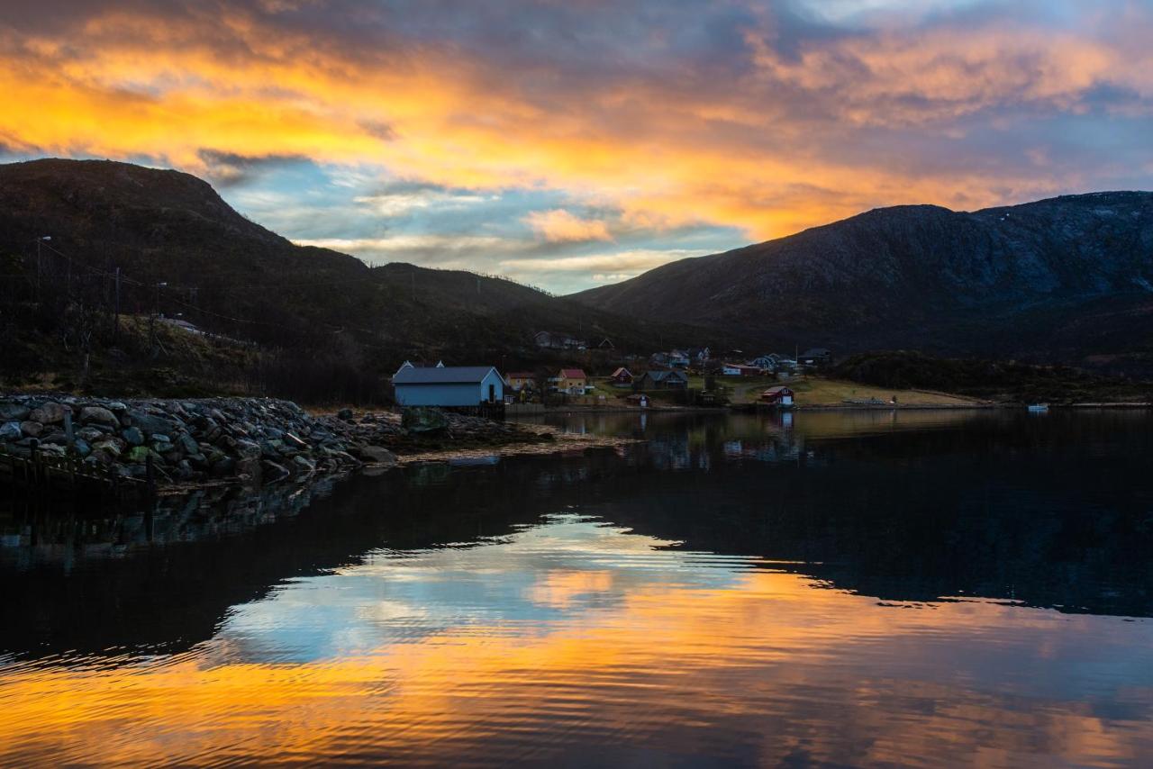 Amberfish - B&B Tromsø