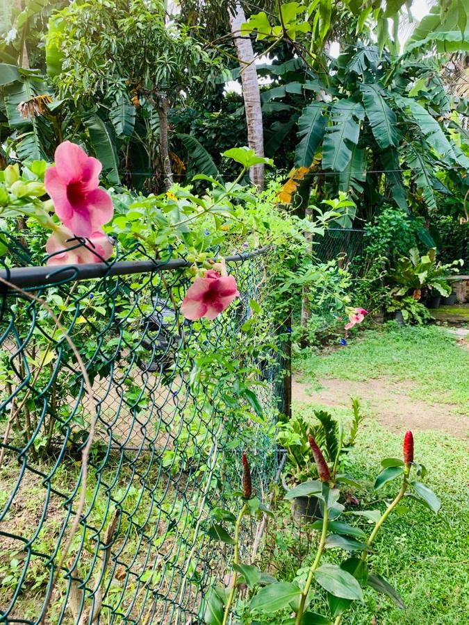 ANDRA Homes - Bed and Breakfast Weligama