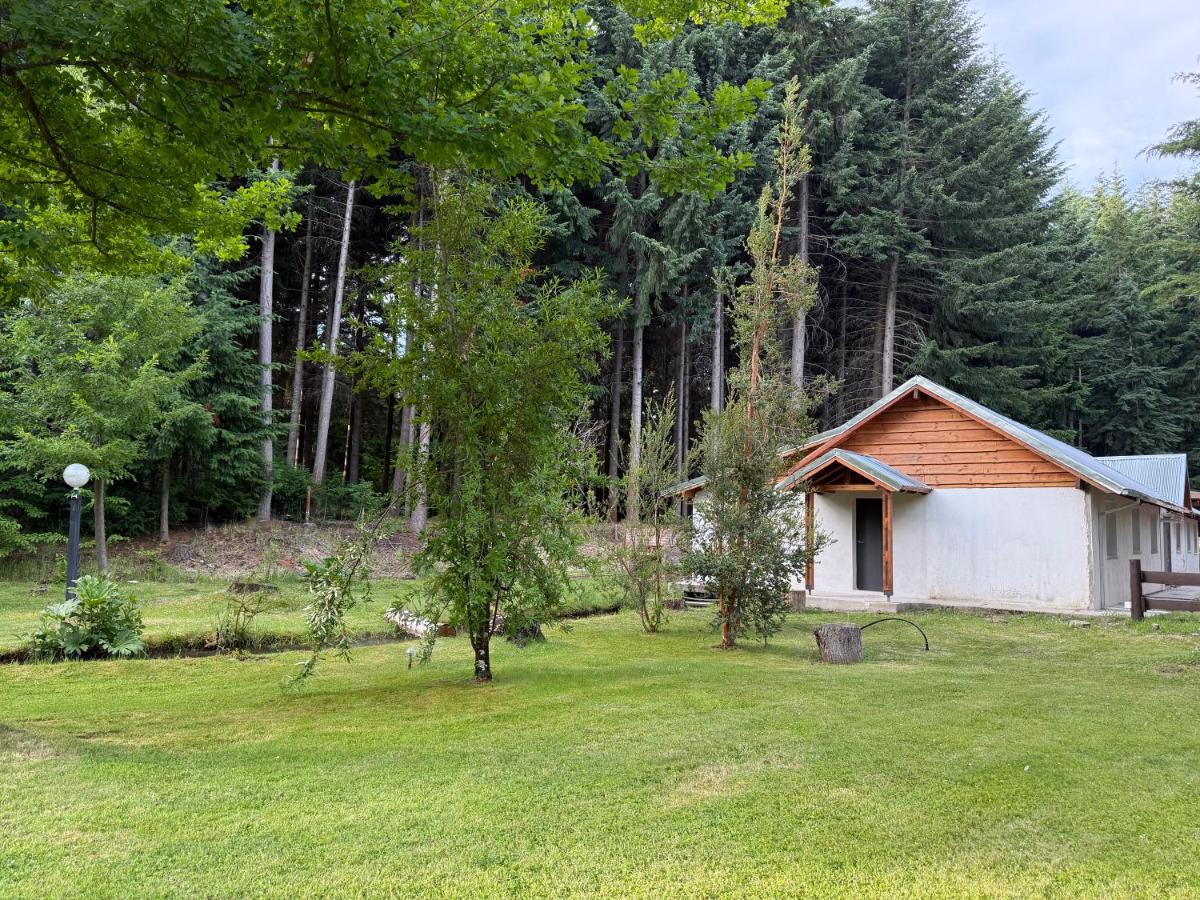 Chalet de 1 dormitorio