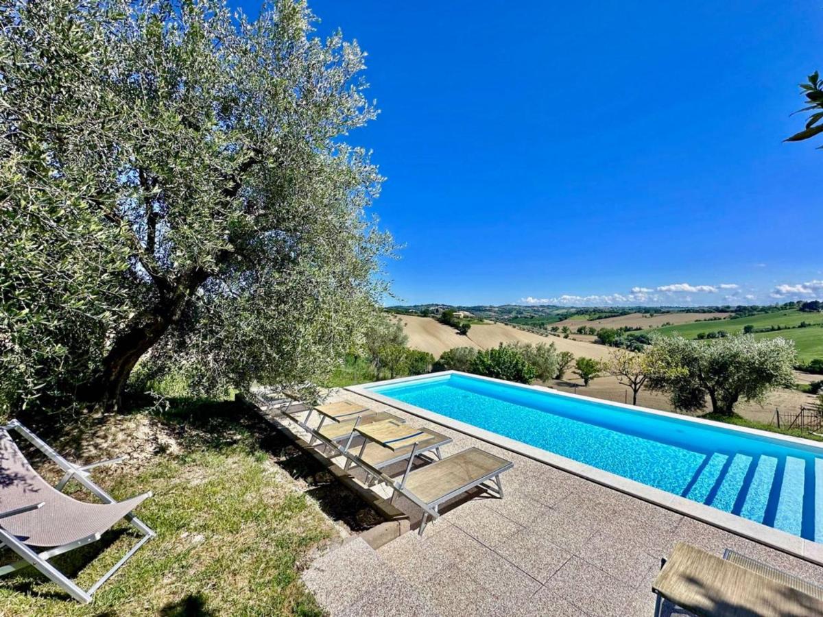 the Gelso in historic villa with pool in Senigallia - Bed and Breakfast Senigallia