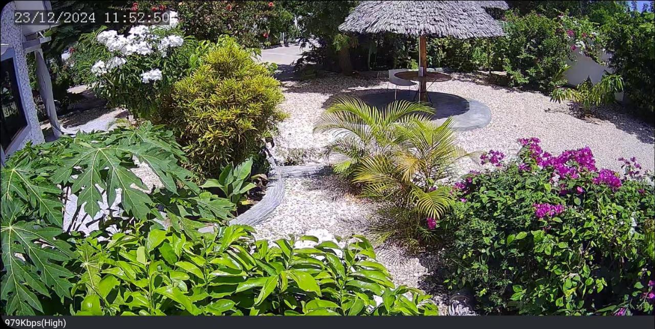 Jawda Star - B&B