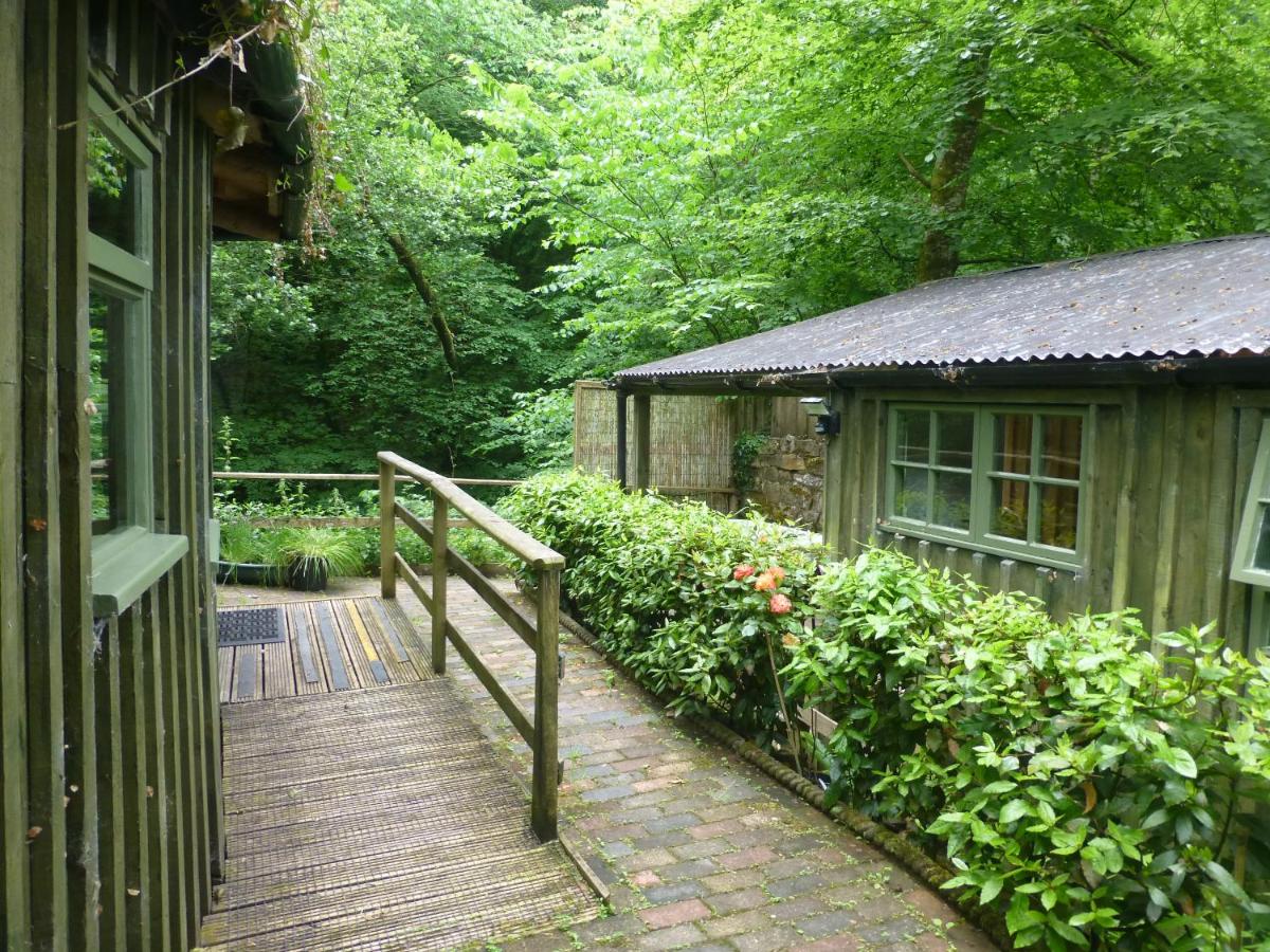 Ty Cefn Tregib - B&B Llandeilo