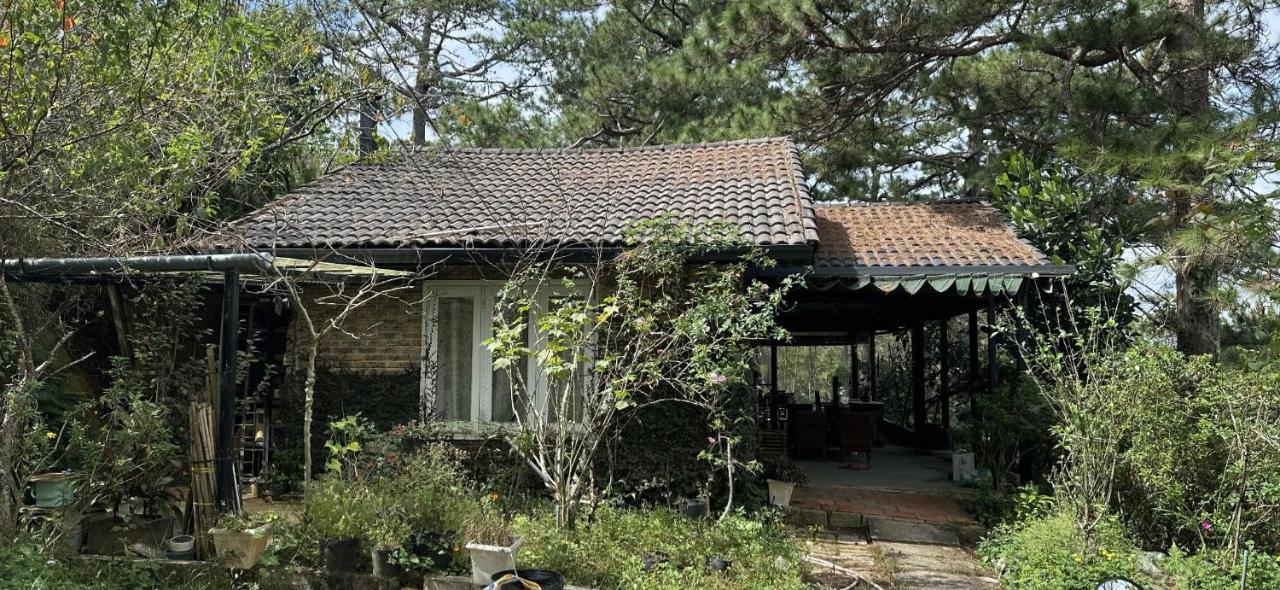 Nhà Trong Rừng Homestay - Chambres d’hôtes