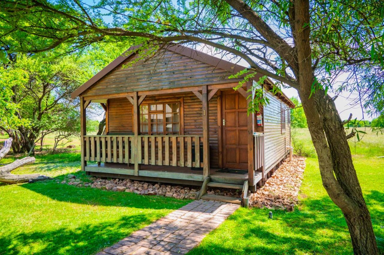 Accommodation Black Ginger - B&B