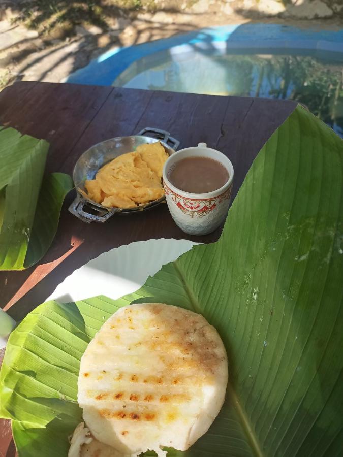 Cabaña en el Campo - B&B La Vega