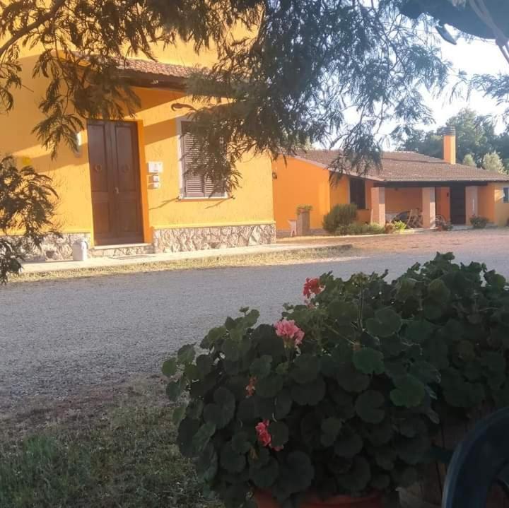 Appartamento da marco - B&B Magliano in Toscana
