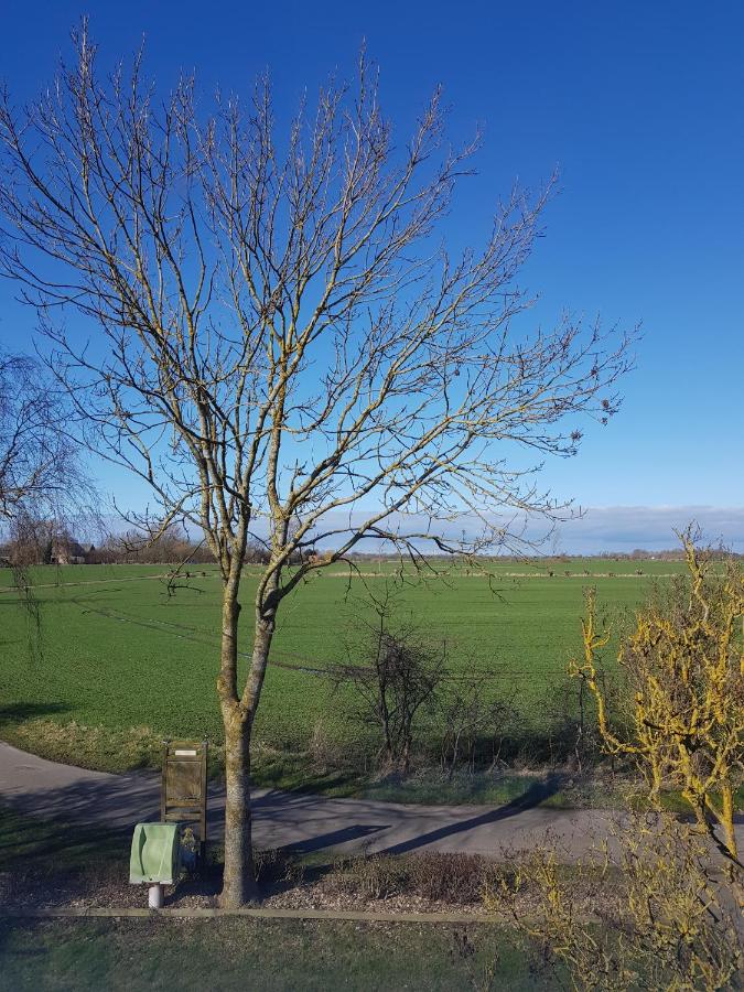 Standard Apartment mit Gartenblick