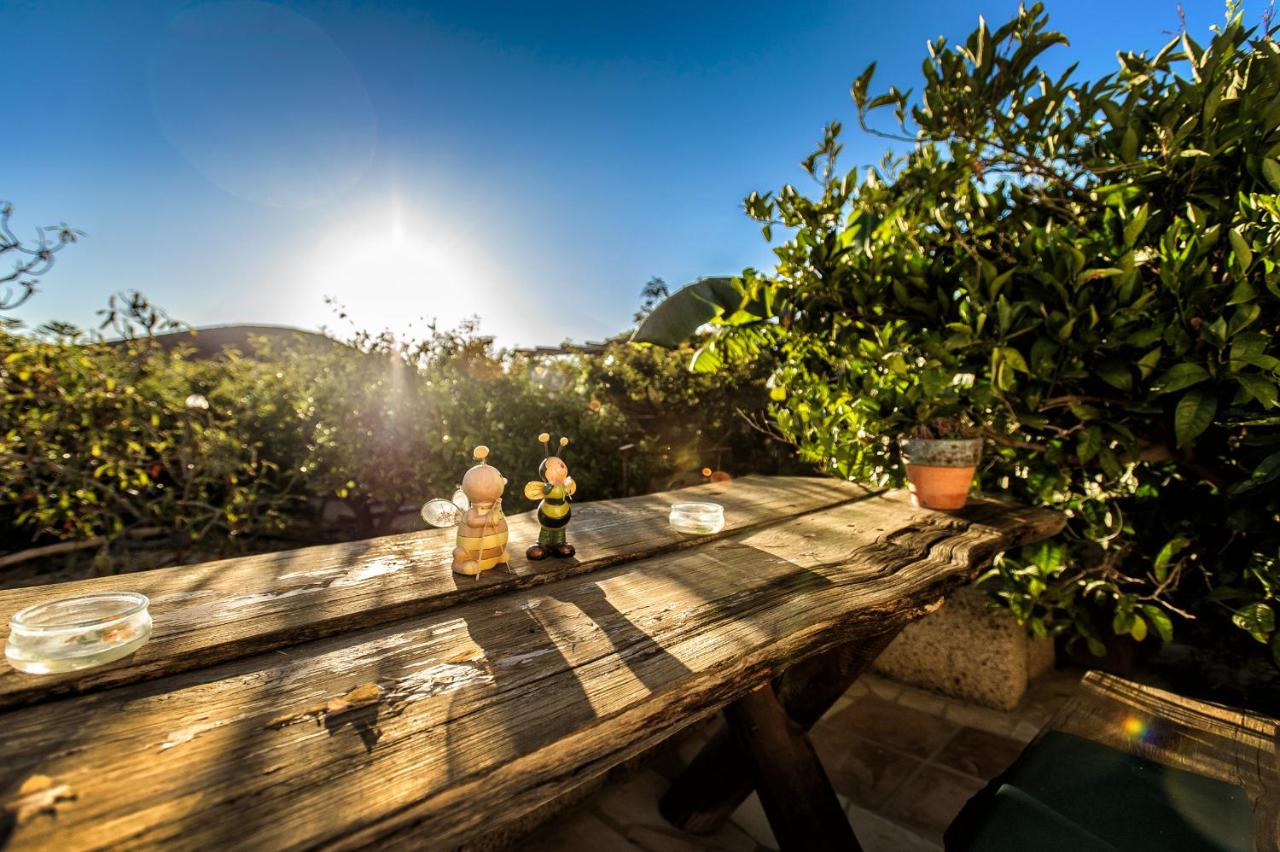 Casas ALBERTO TELEWORKING - Chambres d’hôtes
