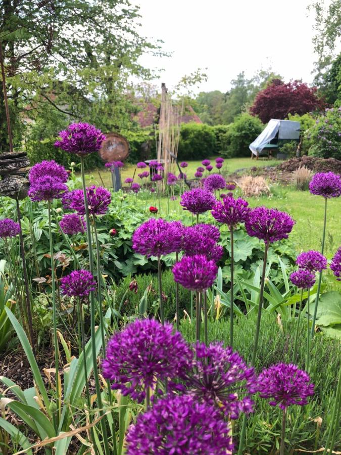 Gästehaus Natur - B&B Vöhl