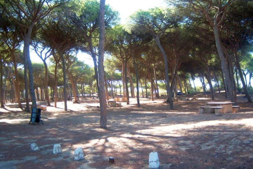 Casa La Peña - Playa y Naturaleza a un paso - B&B