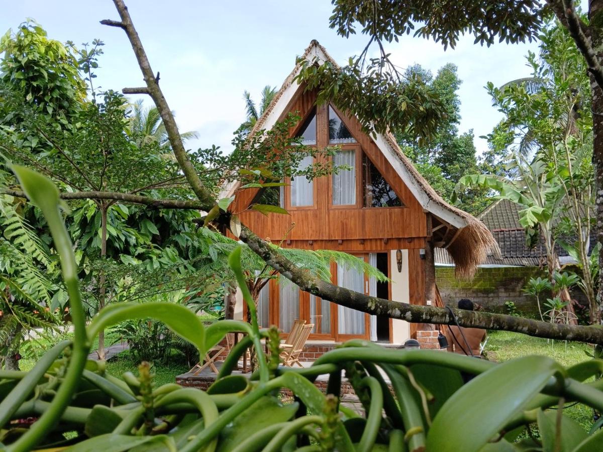 Green Haven Homestay - B&B