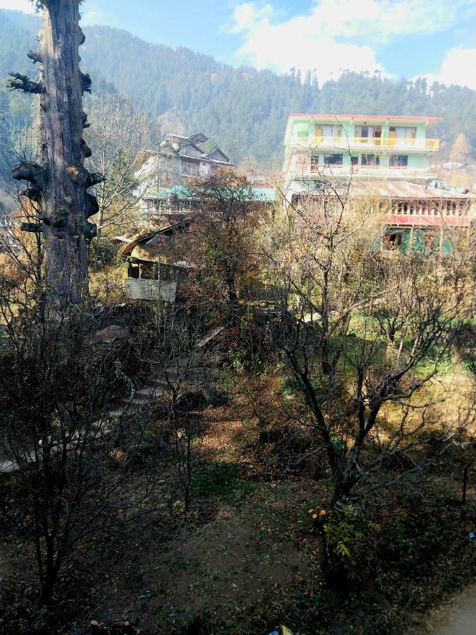 Jamming Tree - B&B