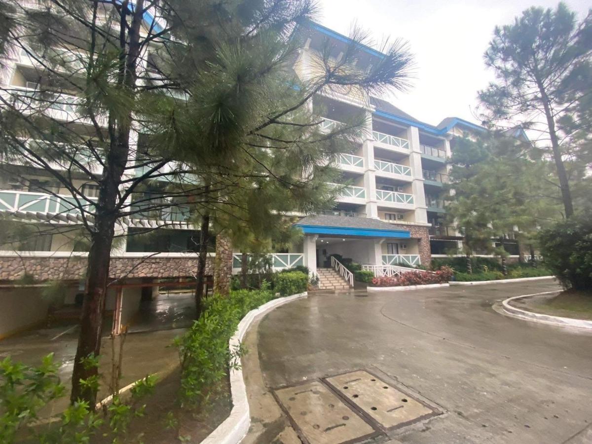 Mistwood Escape - Pine Suites - Bed and Breakfast