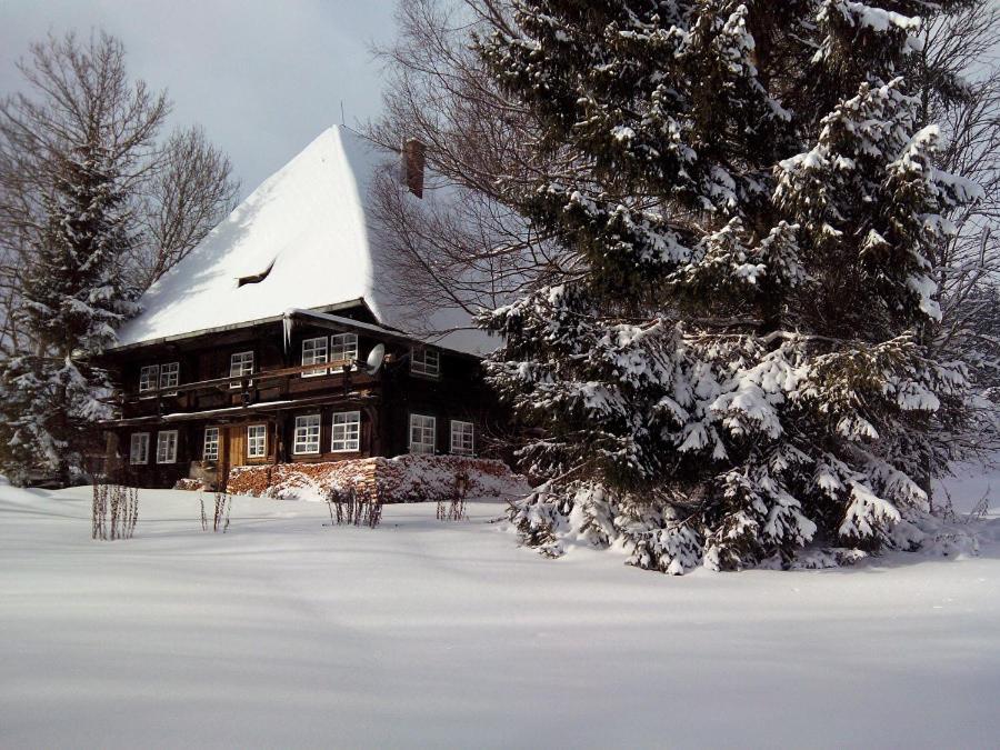 Romantisches Schwarzwälder Bauernhäuschen Hüsli am Griesbachhof - Ferienwohnung Titisee-Neustadt