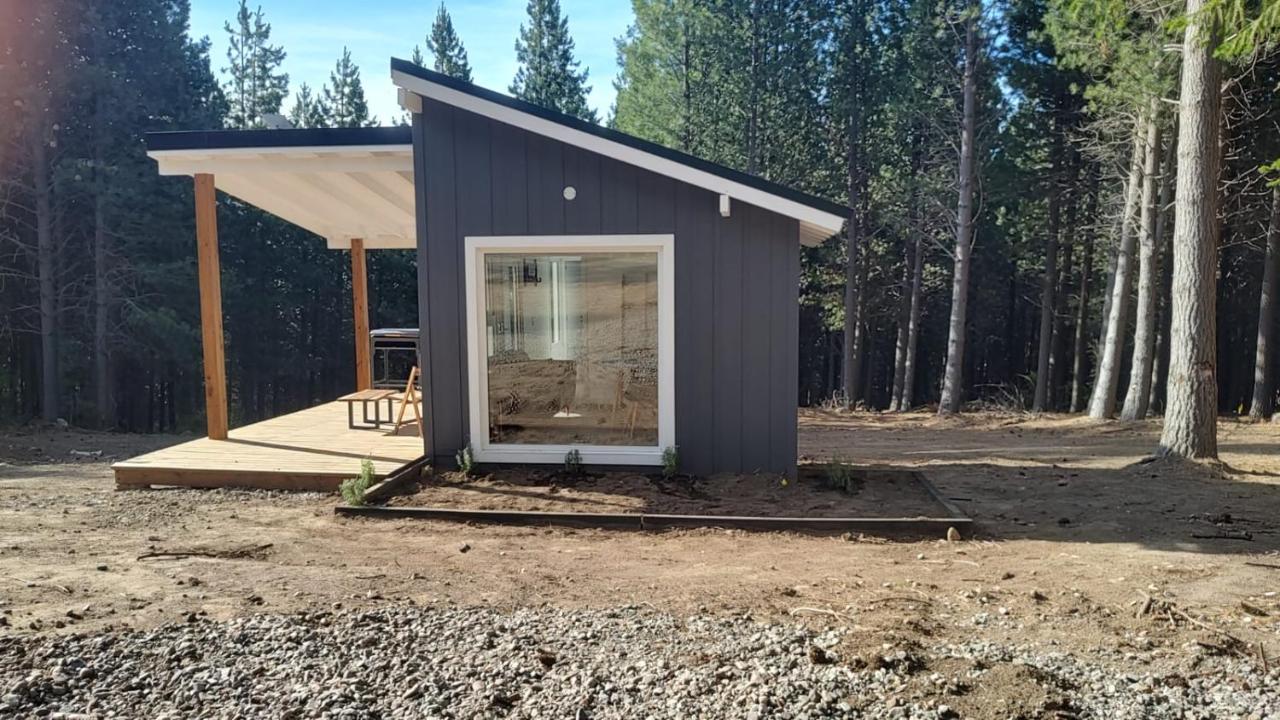 Casa ZenPine - B&B