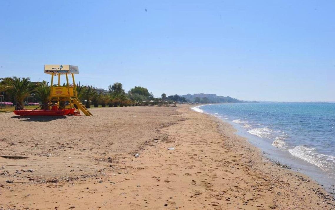 Cozy apartment, 50 METRE CLOSE TO THE BEACH - Chambres d'hôtes Néa Moudhaniá