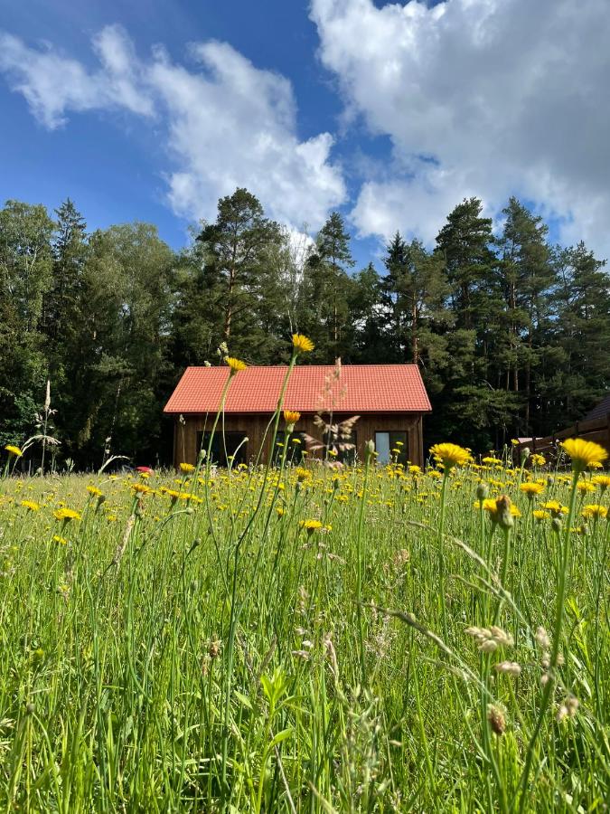 Przystanek Beztroska - B&B Wydminy