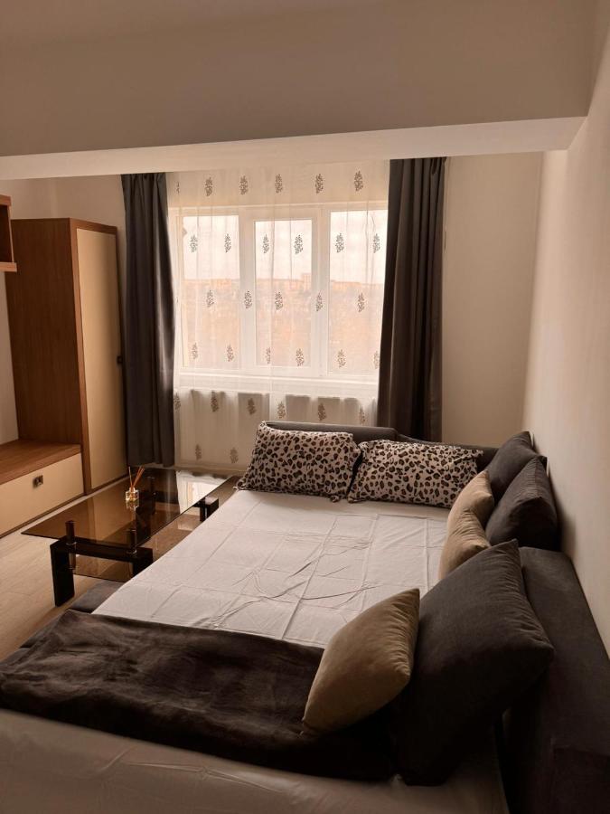 Studio Brancoveanu 98 - Chambres d’hôtes Craiova