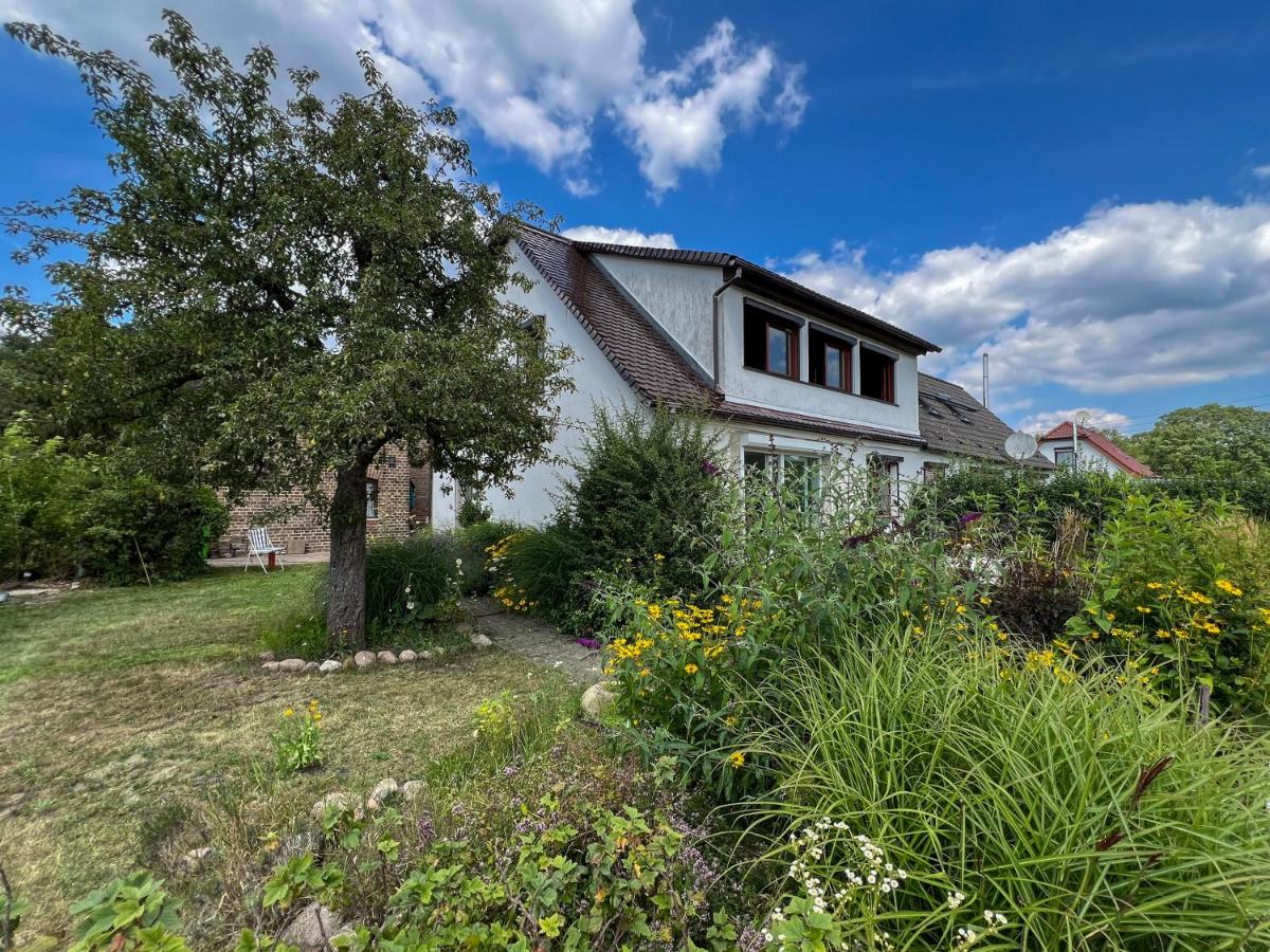 Haus am Oderstrom - Ferienwohnung
