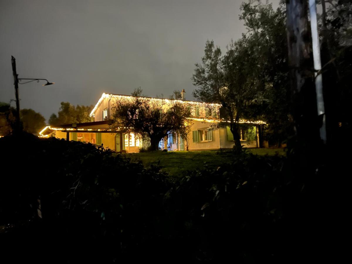 Gli olivi - Ferienwohnung