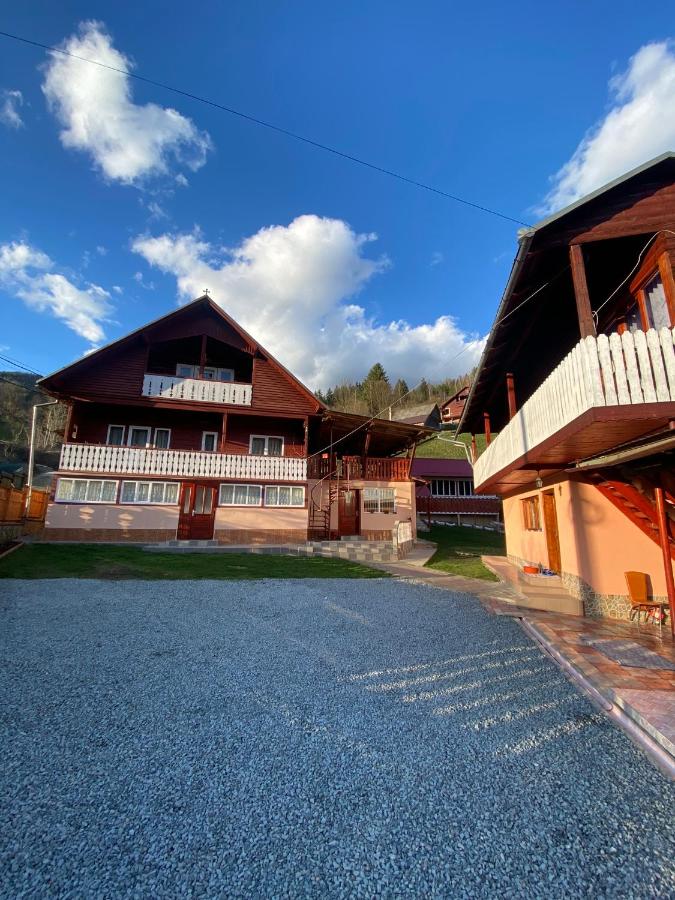Pensiunea Daiana - Ferienwohnung Albac