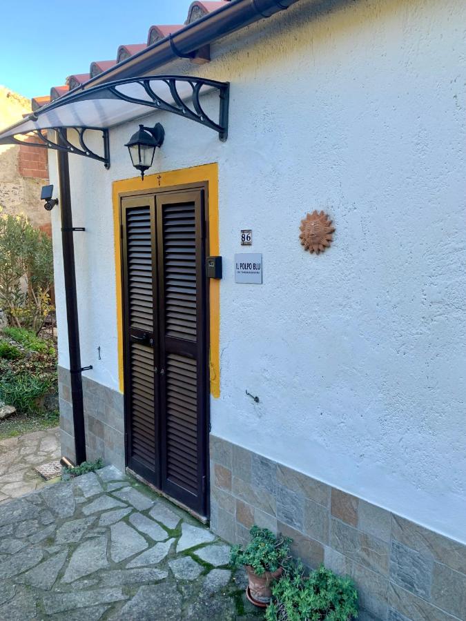 Il polpo blu - B&B Rio nell'Elba