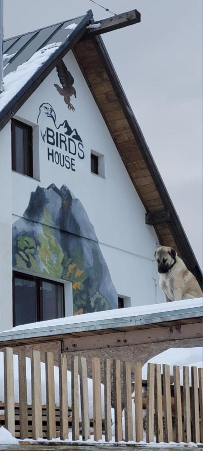 Birdshouse Parang - B&B