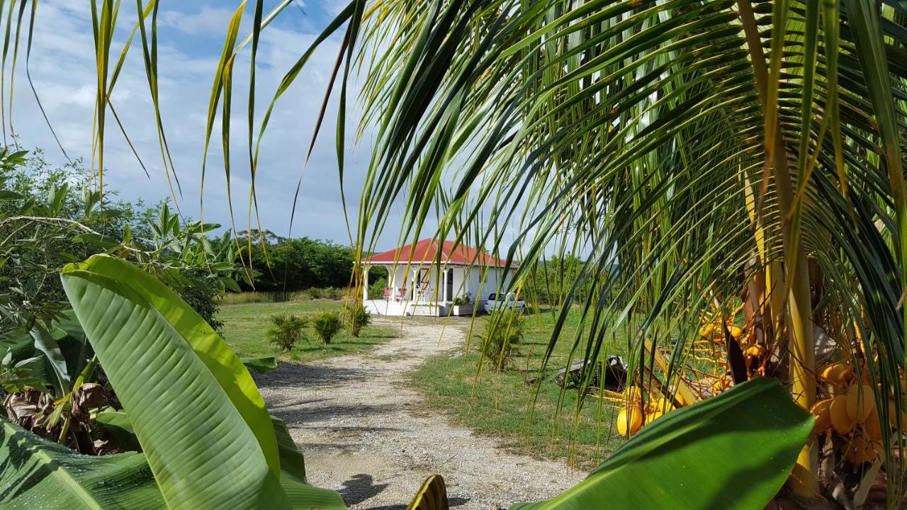 Fleur d'Hibiscus - B&B