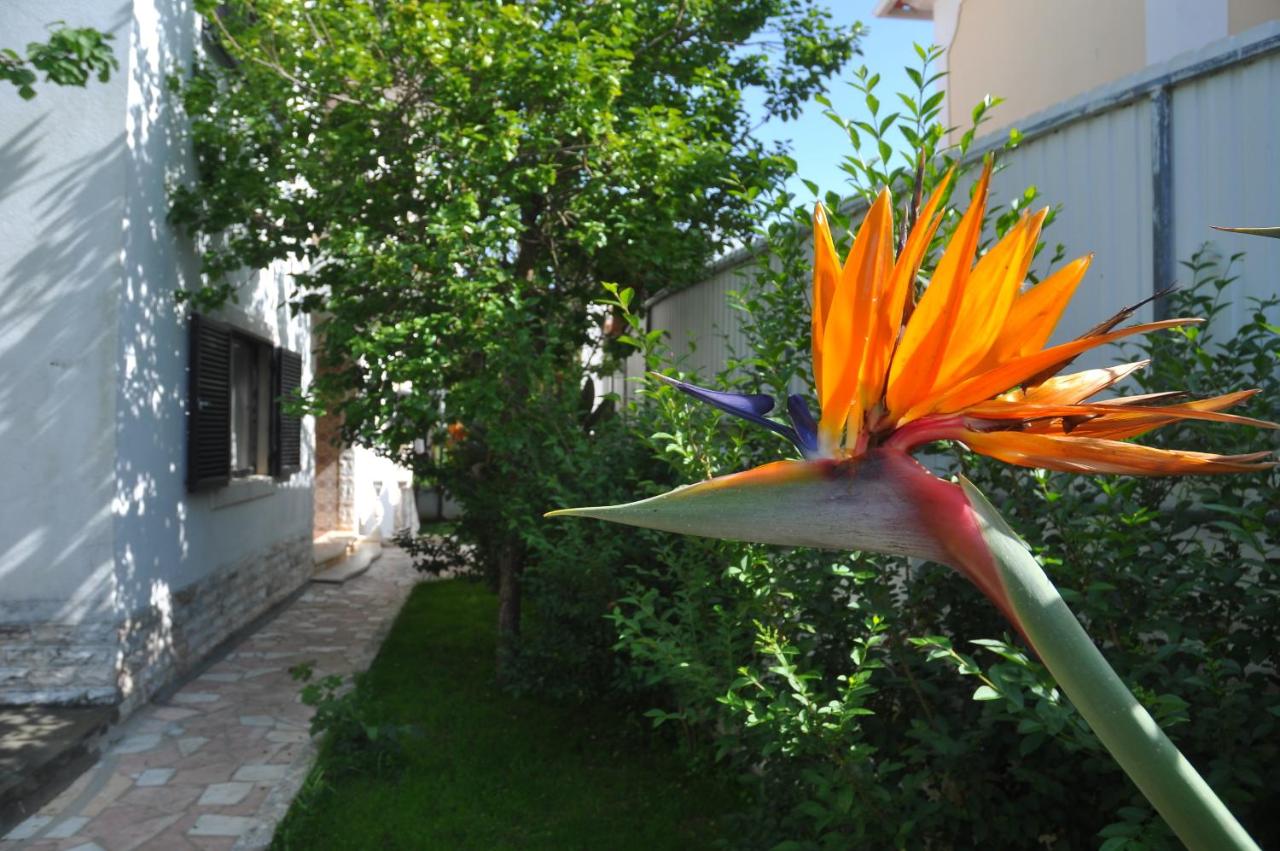 Manelisa Cascais - B&B