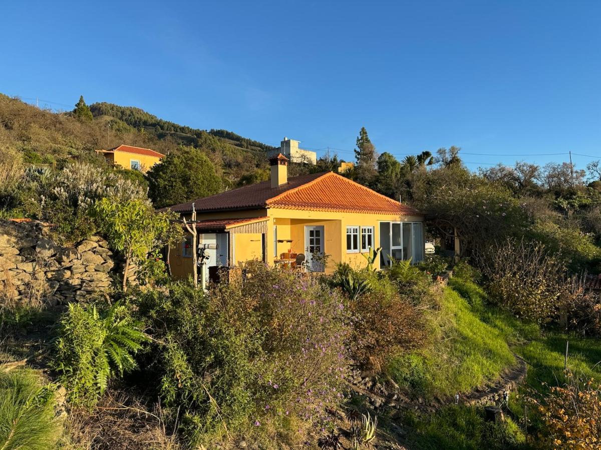 Finca Canopus - Ferienwohnung Tijarafe