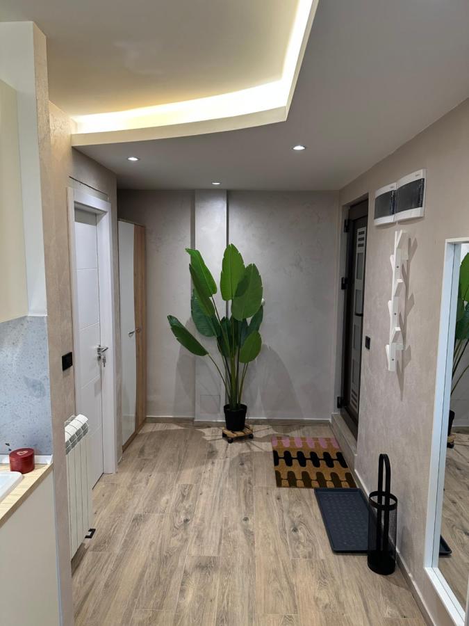 Airport Nest Belgrade - B&B