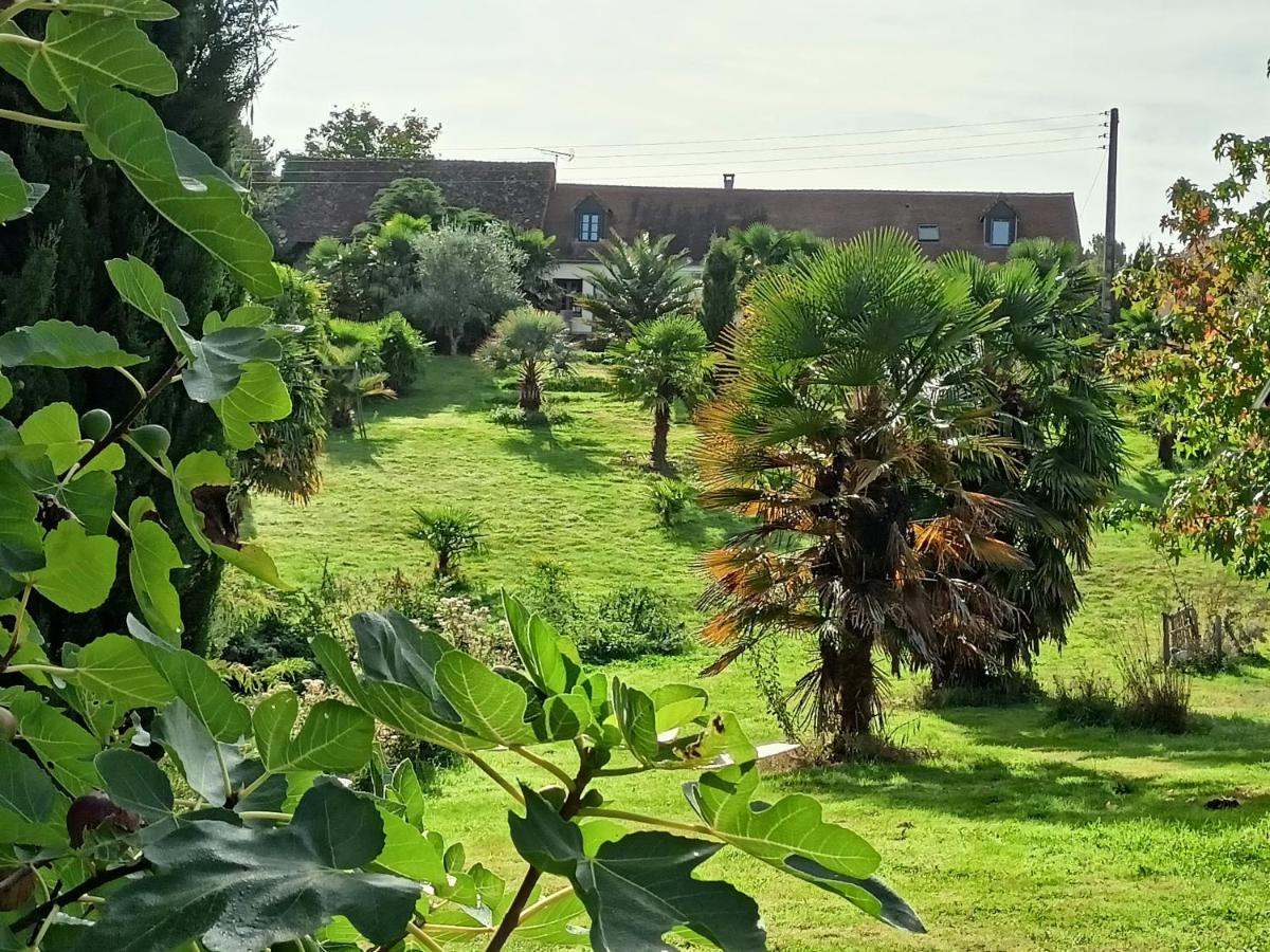 Maison au calme avec jardin exotique pour 7 personnes - B&B