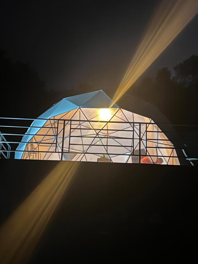 The Wolf Glamping - B&B