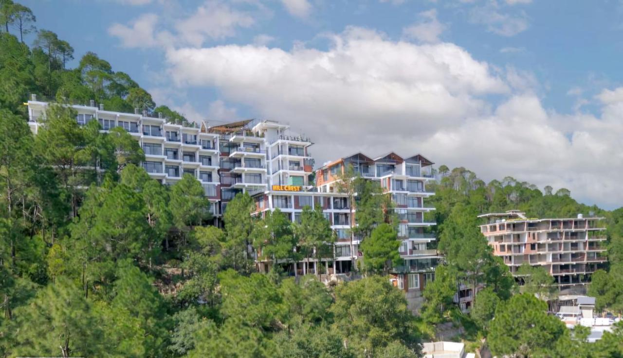 Pine View Hill Crest Kasauli hills - B&B