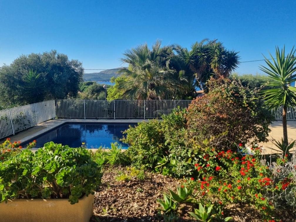 Agréable 2 pièces dans villa avec piscine - Bed and Breakfast Calvi